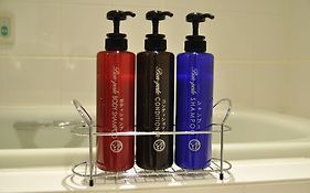 相鐵Fresa Inn銀座七丁目酒店